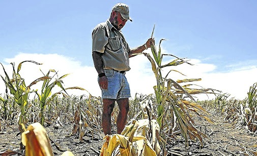 Zimbabwe to compensate more than 700 white farmers