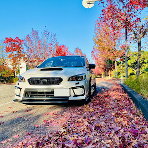 WRX S4 VAG