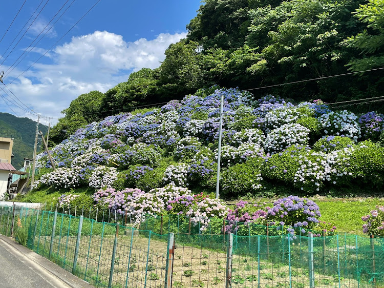 の投稿画像6枚目