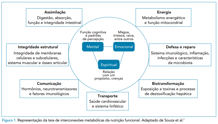 Nutrição Funcional – The Strength Clinic