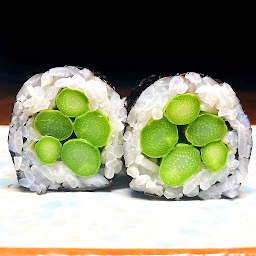 Asparagus Roll