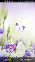 Fluture Imagini De Fundal Aplicații Pe Google Play