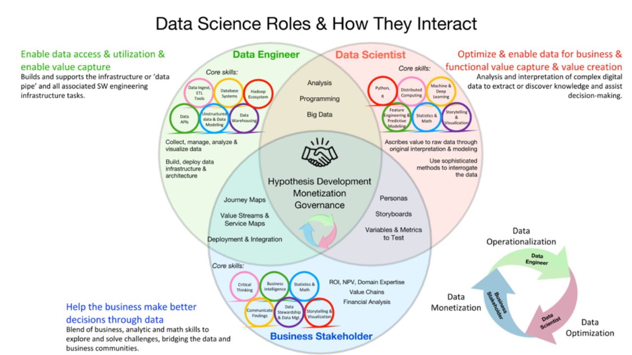 data scientist