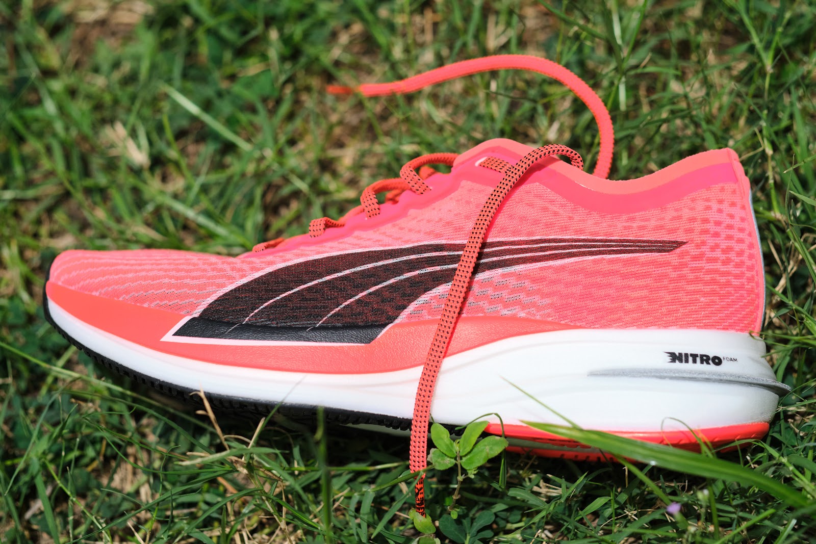 Road Trail Run: Puma Running Deviate Nitro Review: The Cat is Out of the  Bag! 16 Comparisons.