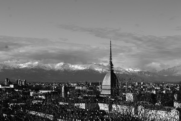 Torino di Lorenza Scaldaferri