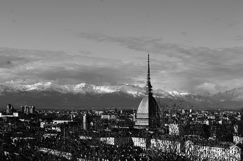 Torino di Lorenza Scaldaferri