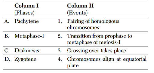 Meiosis