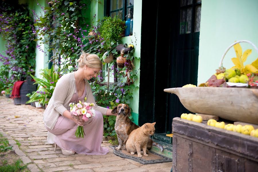 結婚式の写真家Vasilije Bajilov (vasilijebajilov)。2015 10月25日の写真