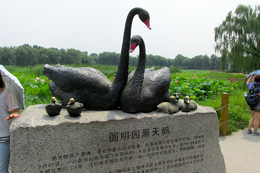 Old Summer Palace Ruins Beijing China 2014