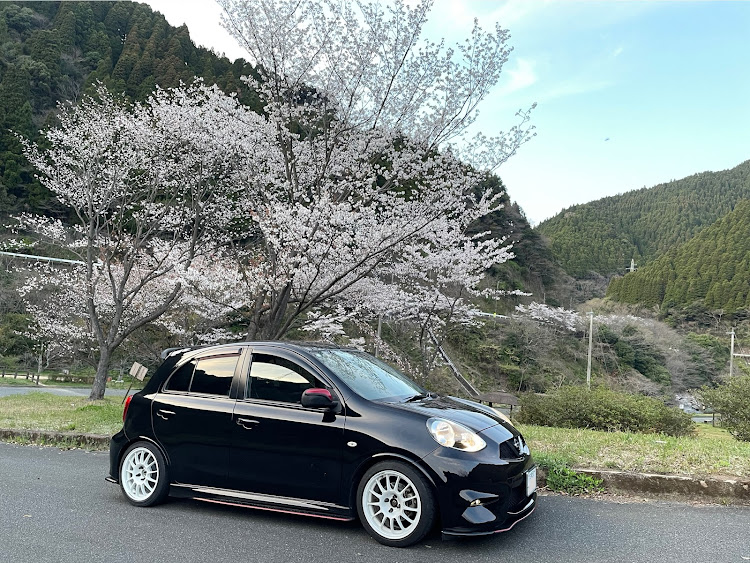 マーチの桜と愛車・4月もよろしくお願い致します🌸・桜の季節も後わずか🌸に関するカスタム事例の投稿画像4枚目