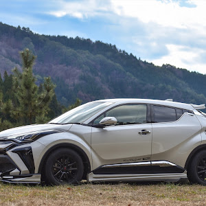 C-HR NGX50