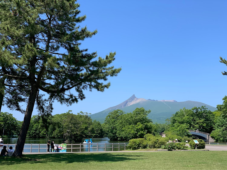 NISSAN GT-Rのシャルル・ド・ミル・大沼公園・運動・快晴・アルジャーノンに関するカスタム事例の投稿画像16枚目