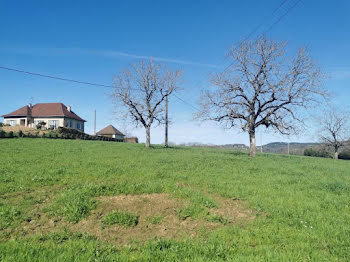 terrain à Albignac (19)