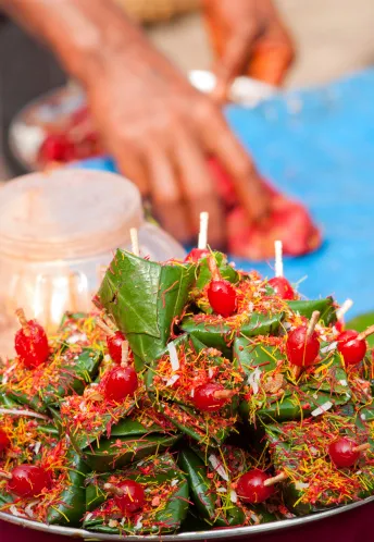 Paan Aroma