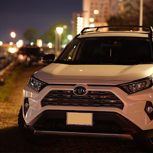 RAV4 MXAA54