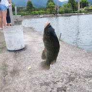 漁樂釣魚碳烤休閒餐廳