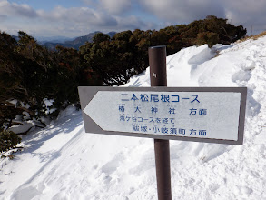 二本松尾根コース