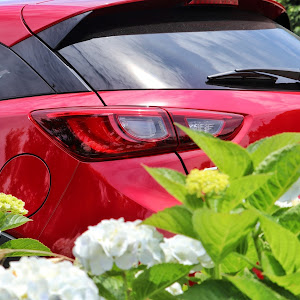 CX-3 DK5FW