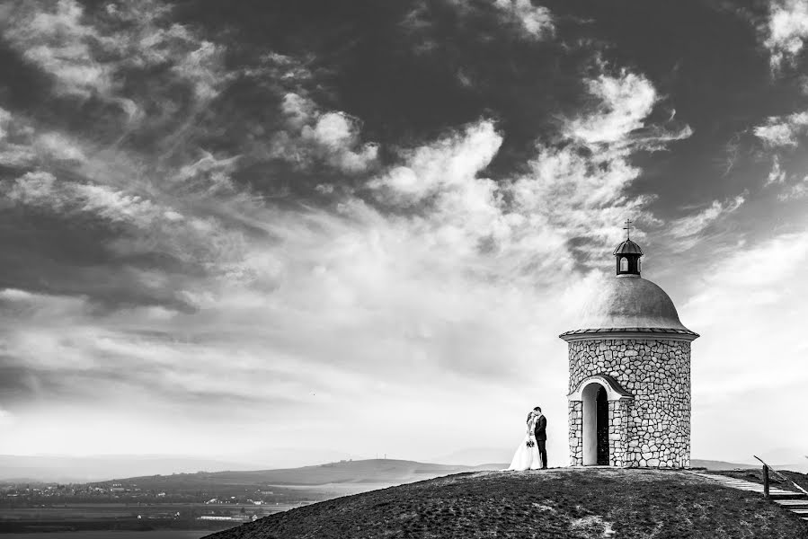 Düğün fotoğrafçısı Petr Hrubes (harymarwell). 29 Kasım 2017 fotoları