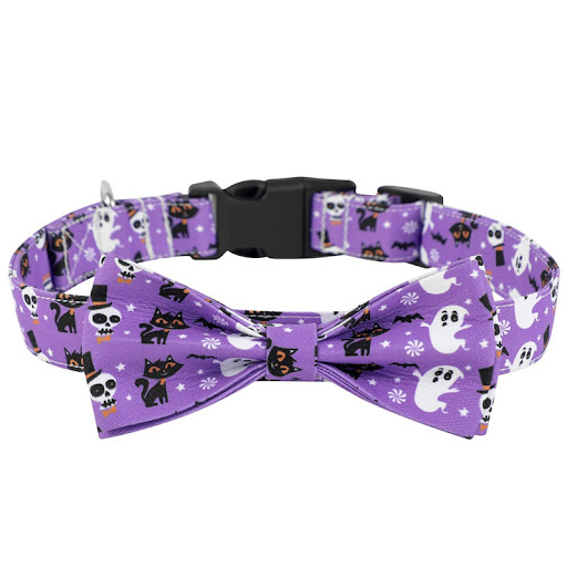 Title 5, New Halloween dog collars! Safe and stylish cos...