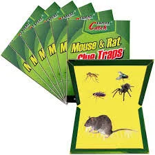 Mouse Glue Traps ( Board ) - 1 pc