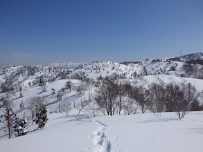 高低差の少ない尾根を進む