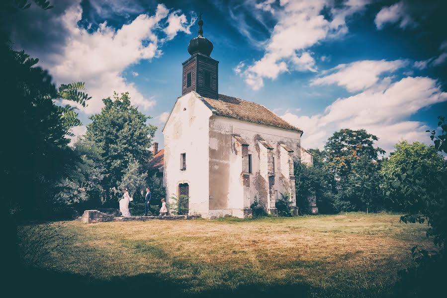 Fotografo di matrimoni Daniel Müller (lightimagination). Foto del 25 luglio 2016