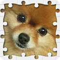 Dogs Jigsaw Puzzles icon