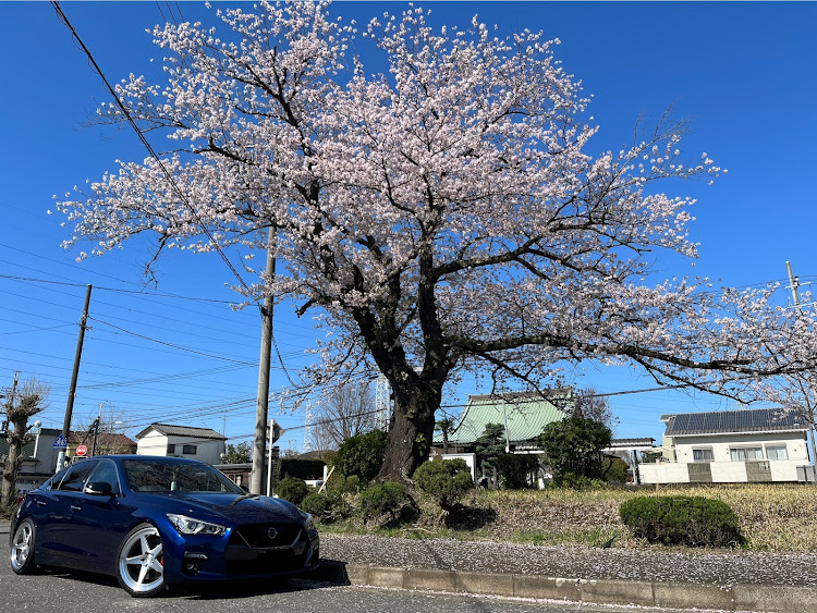 の投稿画像5枚目