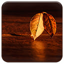 Fall Morning Chrome extension download