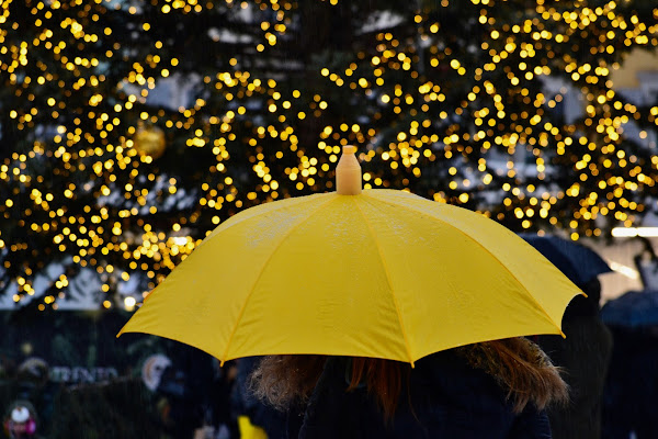 Mellow Yellow di giuseppedangelo