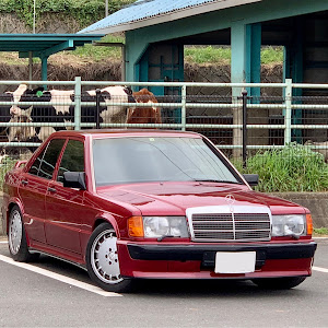 190シリーズ W201