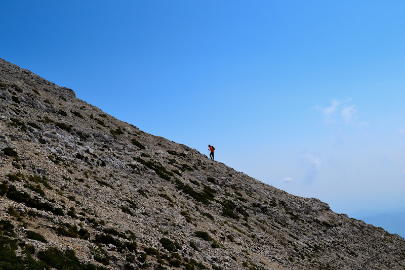 in montagna di paolo_ross