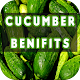 Download Cucumber Benefits For PC Windows and Mac 2.1.2