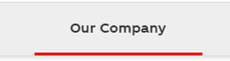 Our company navigation menu link with red underline on hover and focus