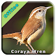 Download Coraya Wren For PC Windows and Mac 1.0