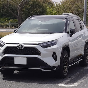 RAV4 AXAP54