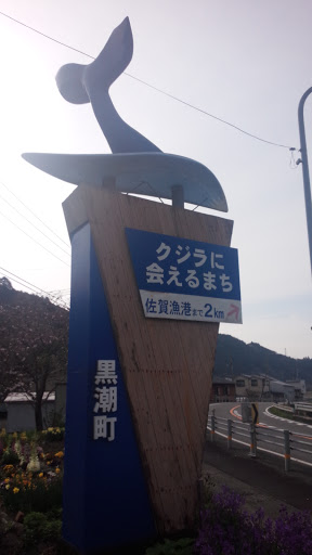 クジラに会えるまち