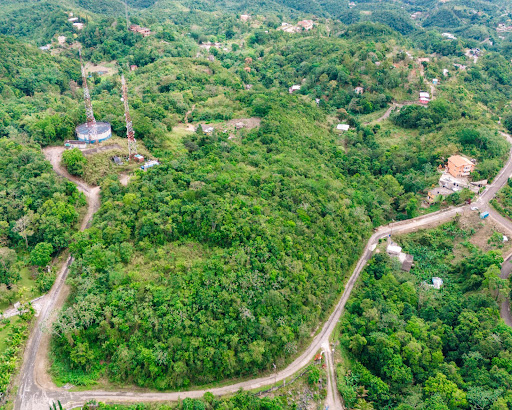 Land 4