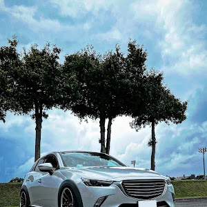 CX-3 DK5FW