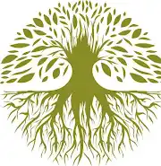 Denny's Tree Surgery Logo