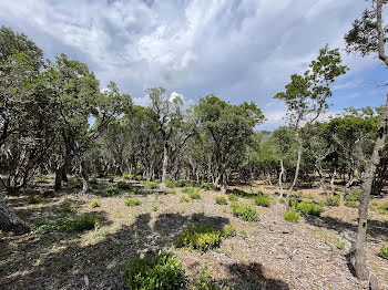 terrain à Saint-raphael (83)