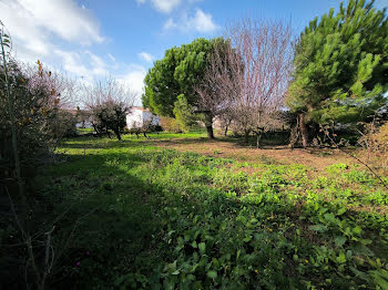 terrain à Bourcefranc-le-Chapus (17)