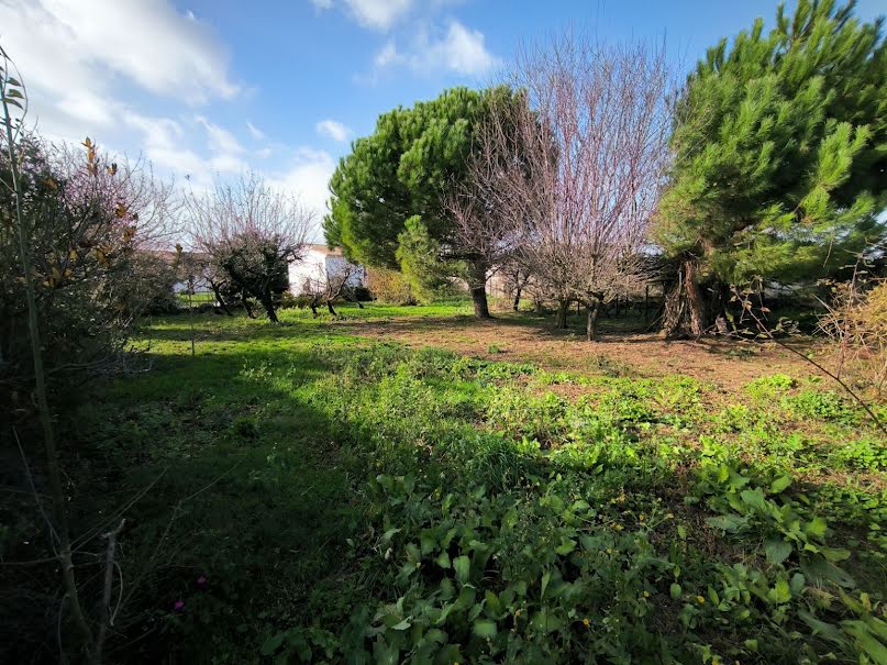 Vente terrain  518 m² à Bourcefranc-le-Chapus (17560), 82 000 €