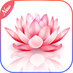 Cover Image of Unduh Gallery + 1.4 APK