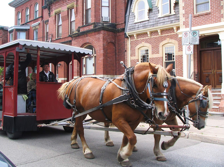 Horse Trolley Tours are a popular way for visitors to take in the sights of Saint John, New Brunswick. 