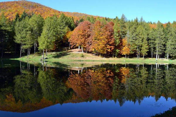 Un abbraccio di colori autunnali di Maira