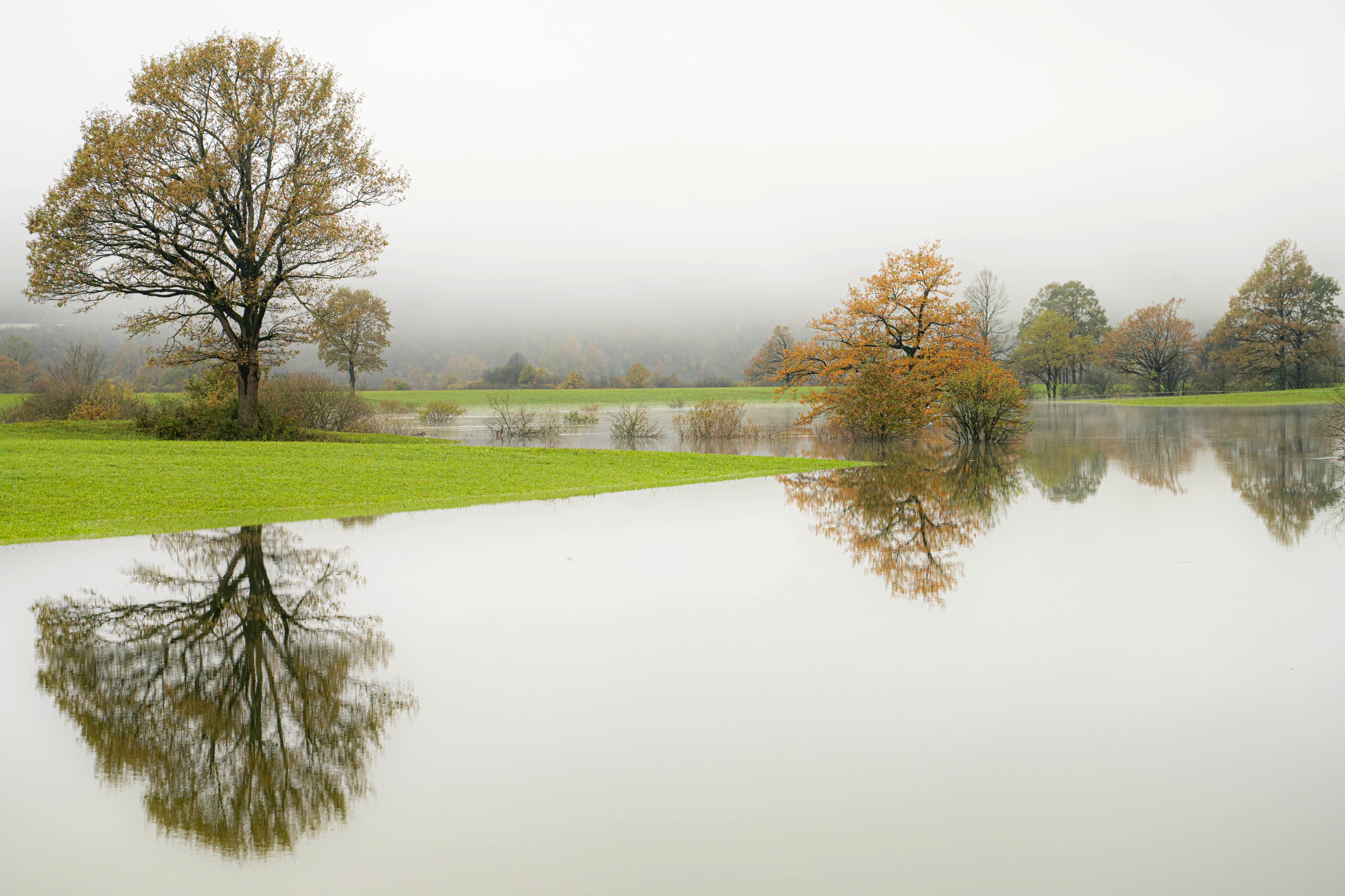 al lago con la nebbia mattutina