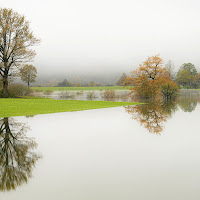 al lago con la nebbia mattutina