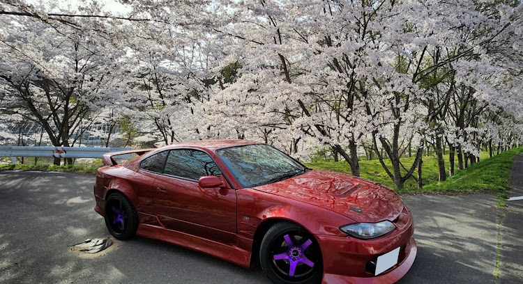 シルビアの桜とコラボに関するカスタム事例の投稿画像3枚目